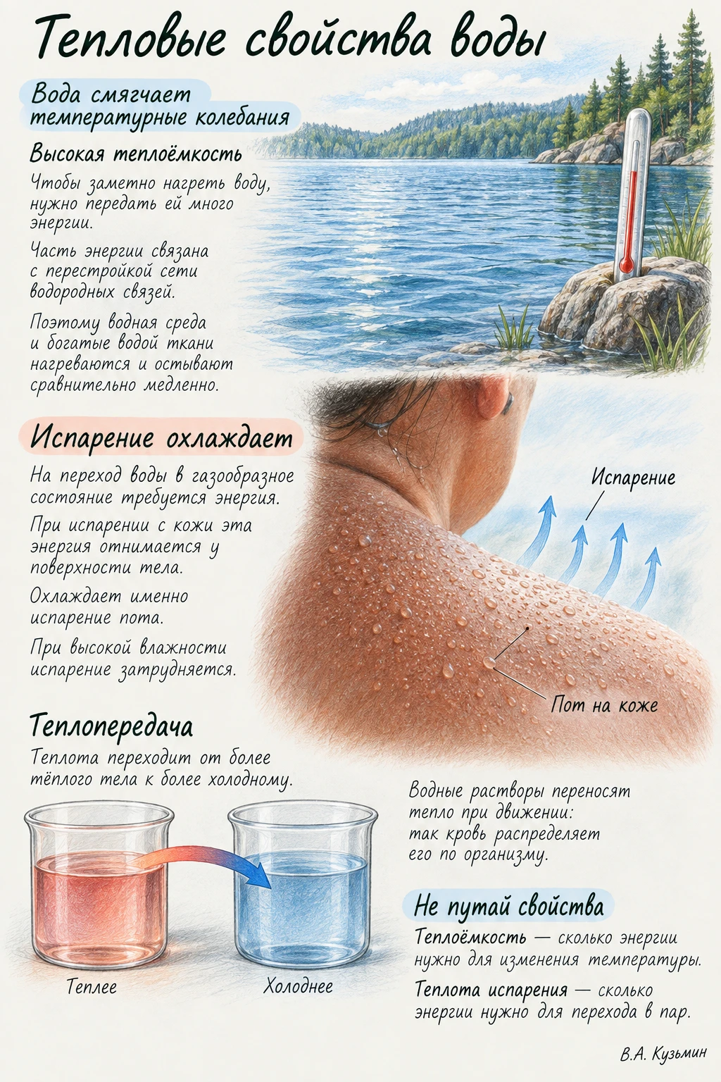 Тепловые свойства воды