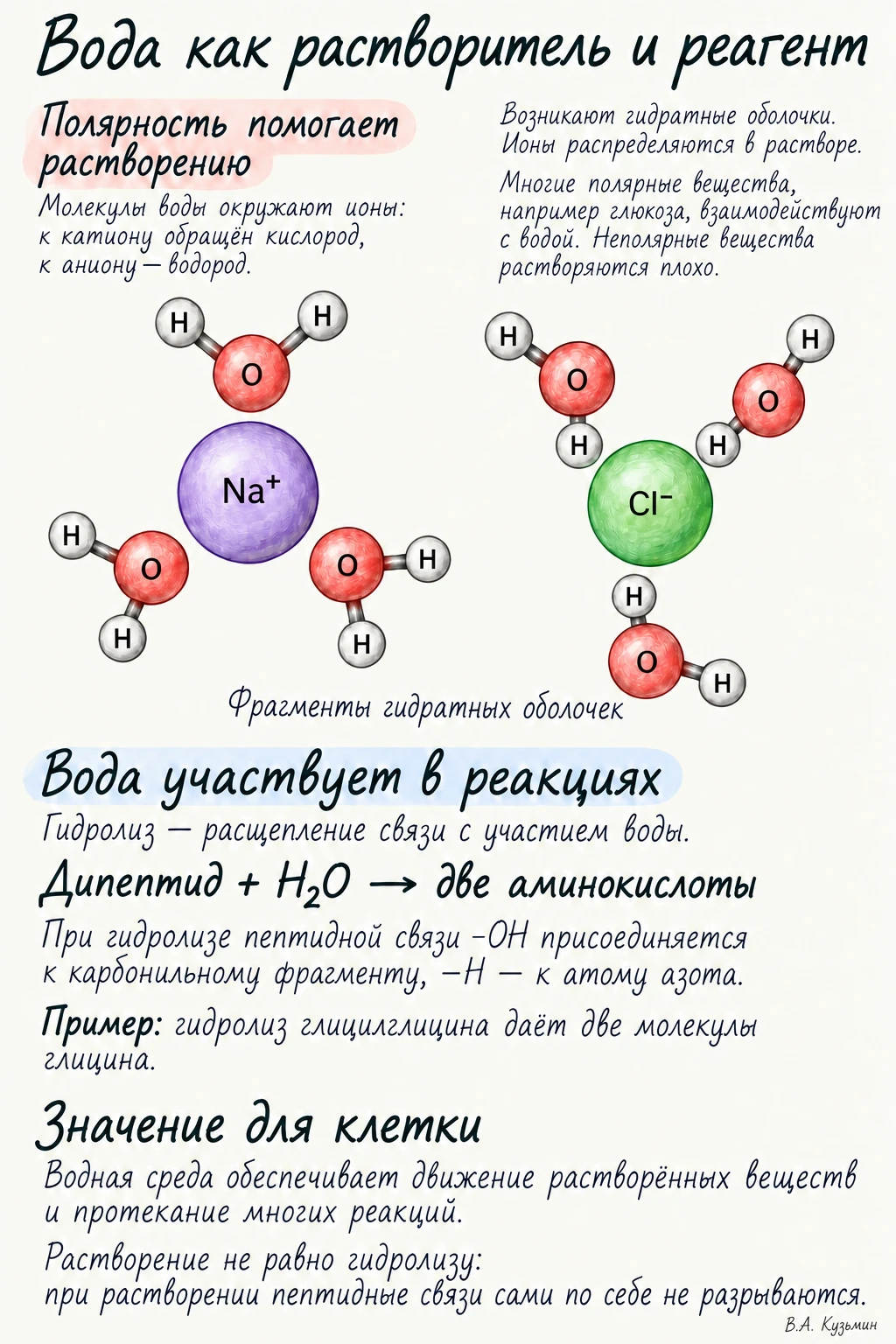 Вода как растворитель и реагент