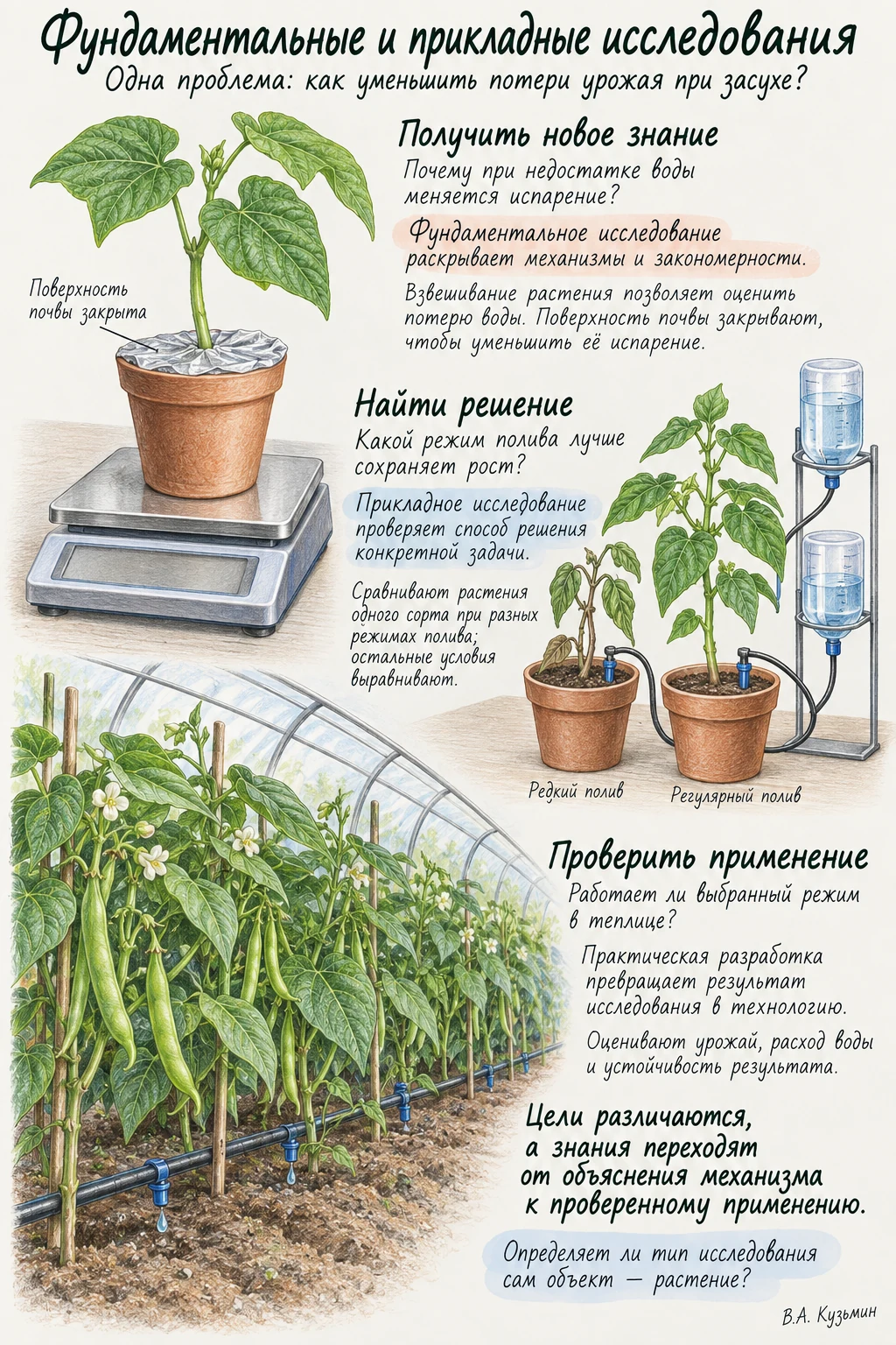 Фундаментальные и прикладные исследования