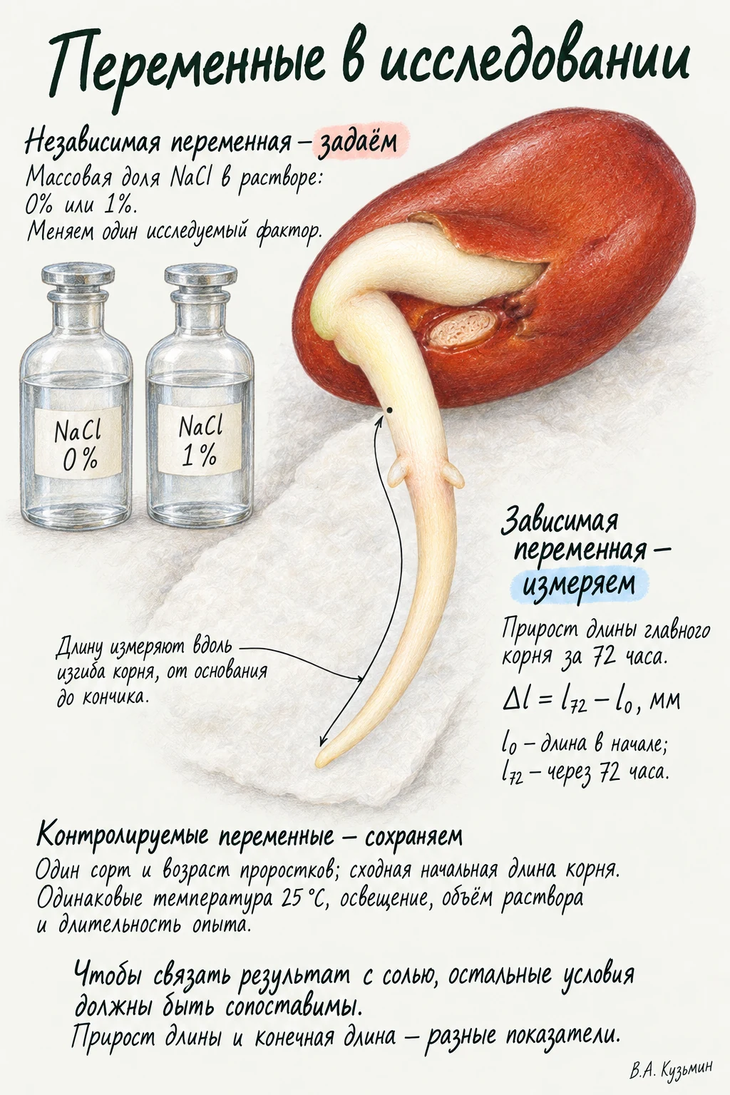 Переменные в исследовании
