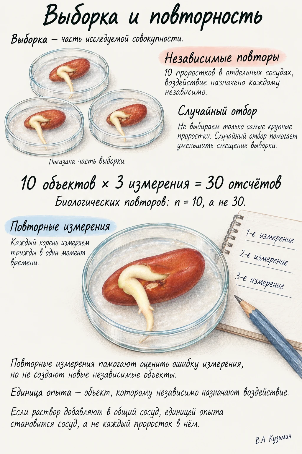 Выборка и повторность