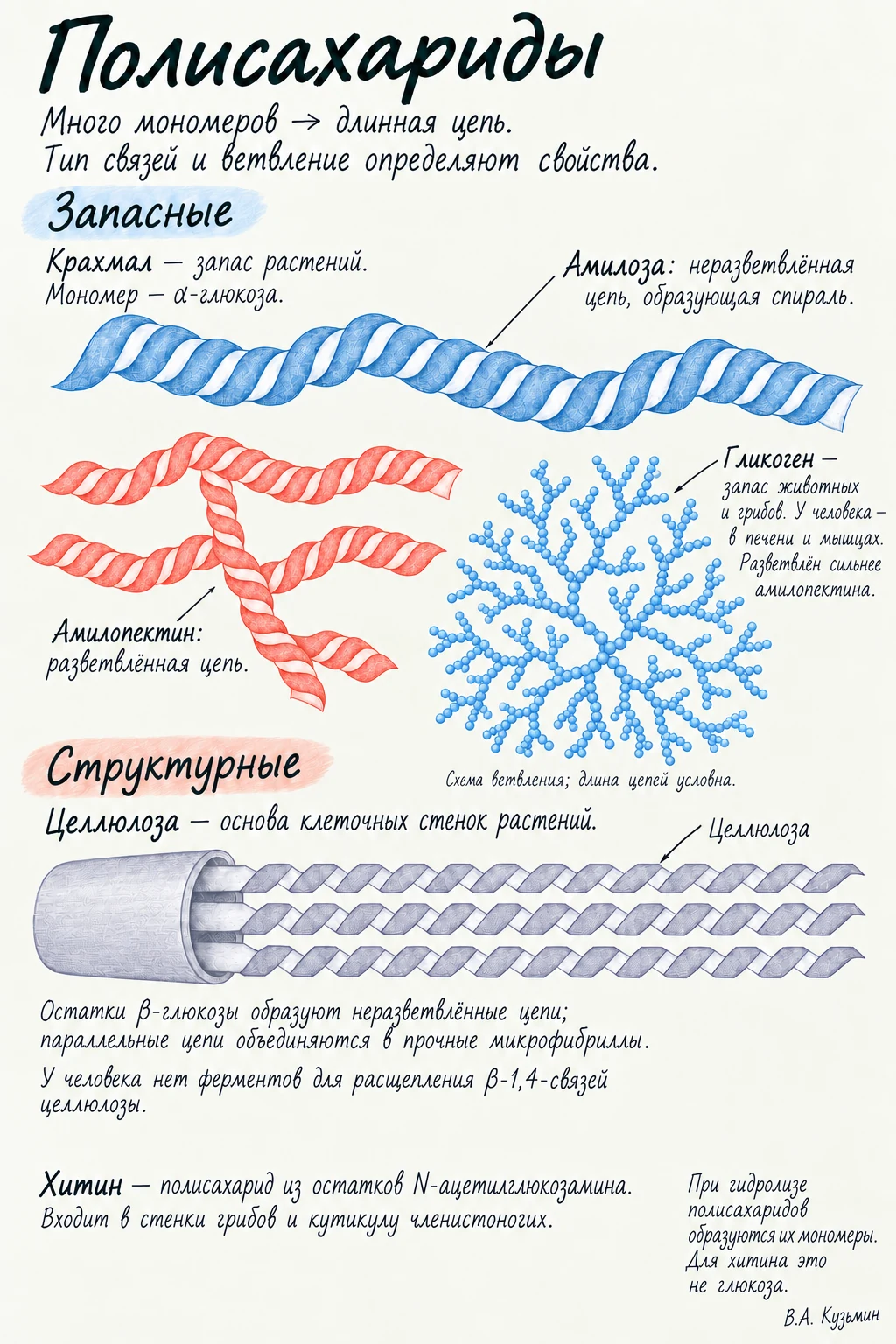 Полисахариды