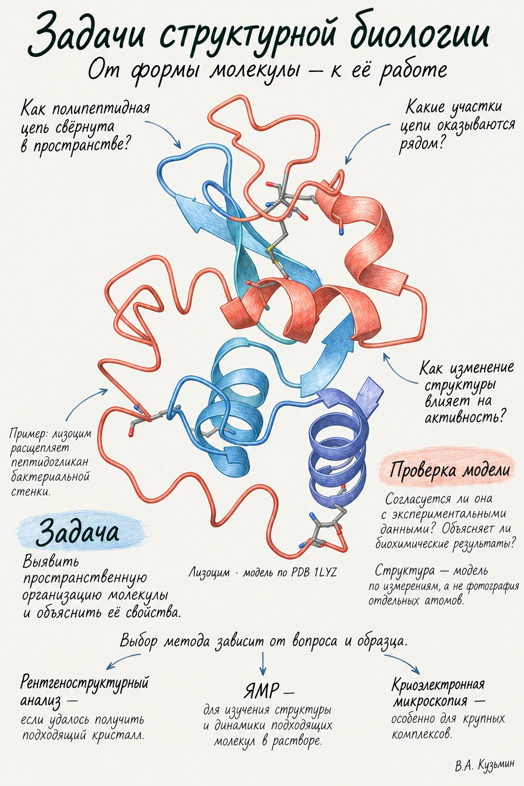 Задачи структурной биологии