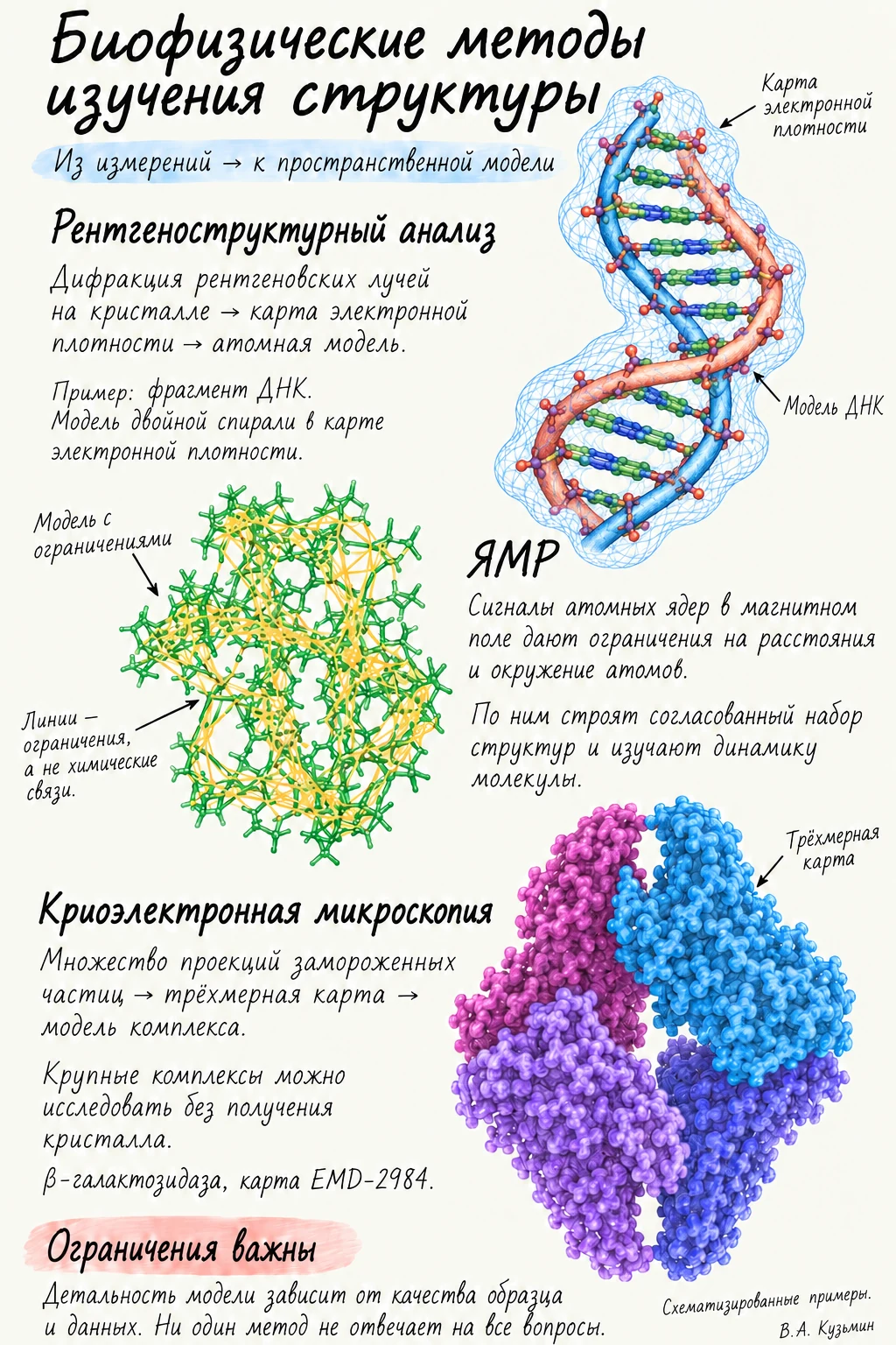 Биофизические методы изучения структуры