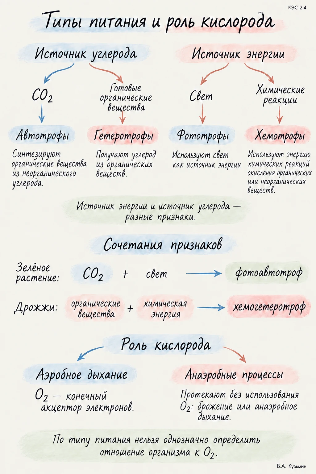 Типы питания и роль кислорода