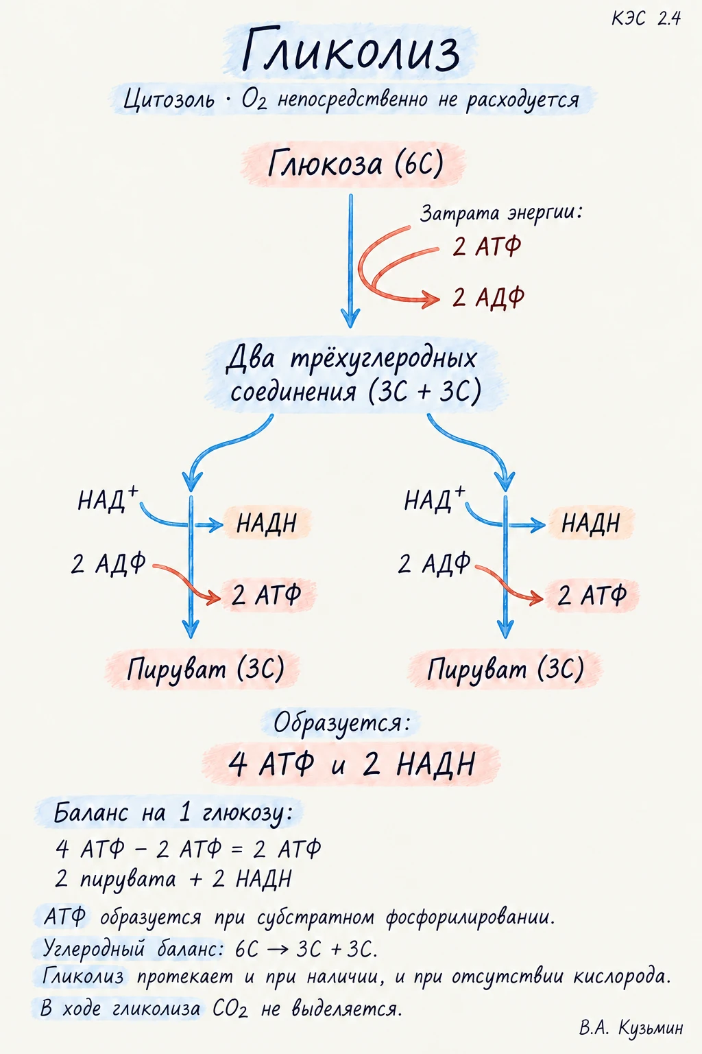 Гликолиз