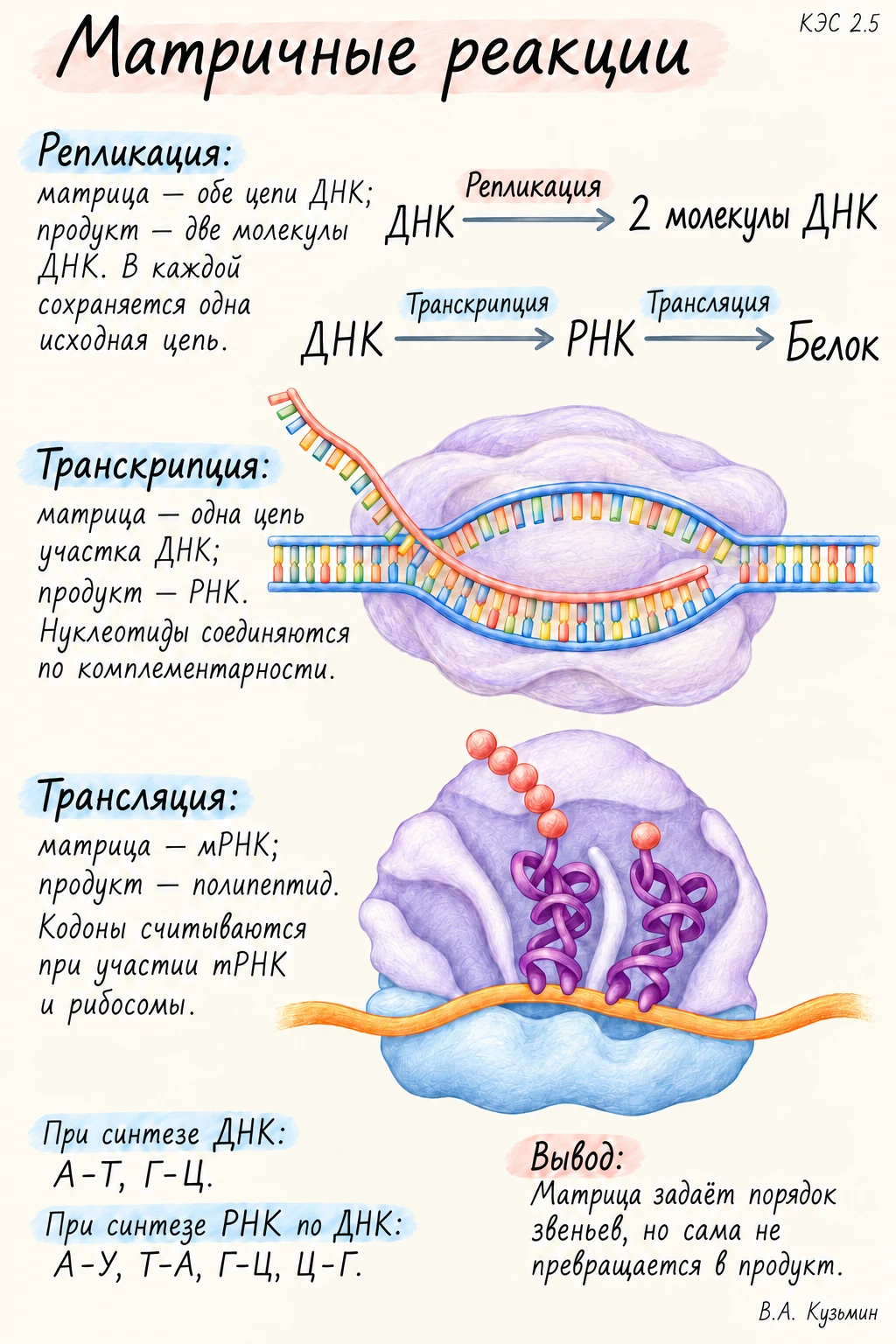 Матричные реакции